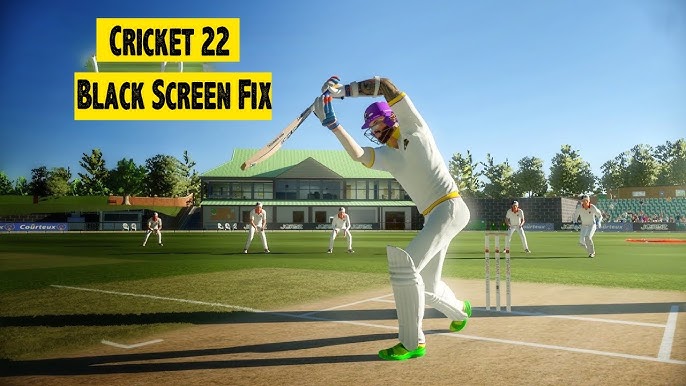 Fix Lag, Black Screen Errors in Cricket 07