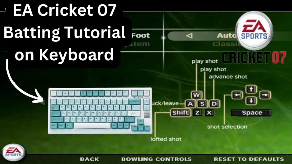 cricket Game contorl on pv